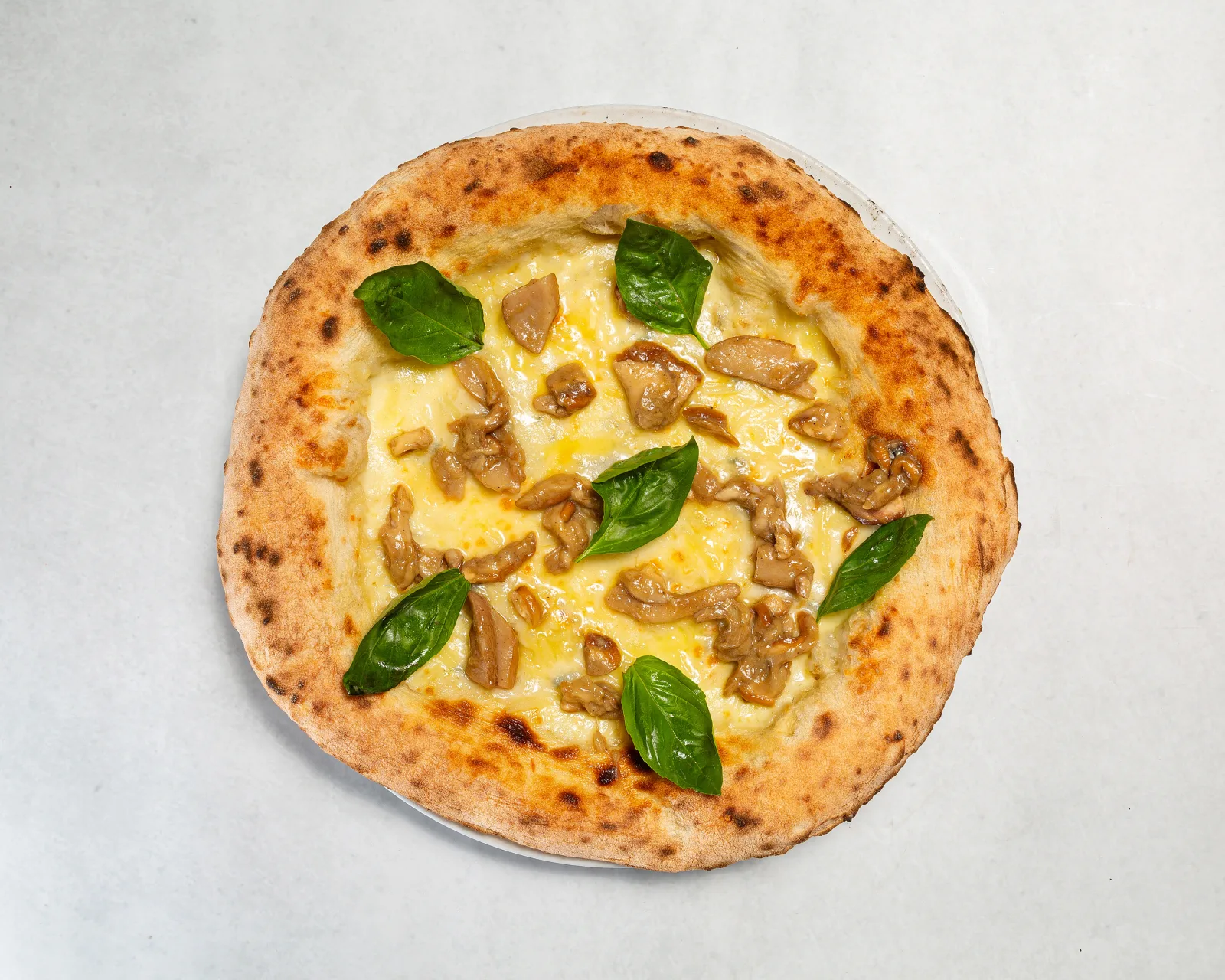 Porcini