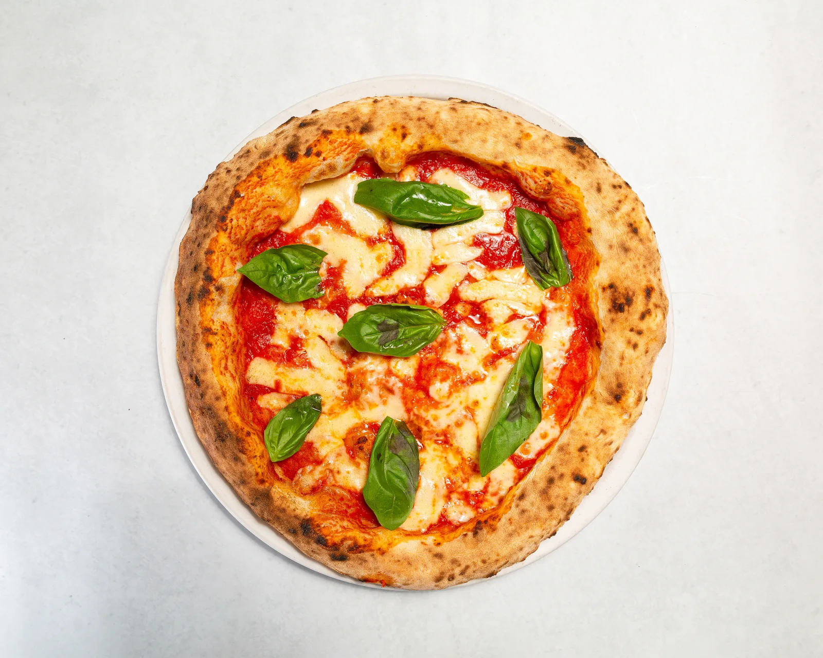 margherita