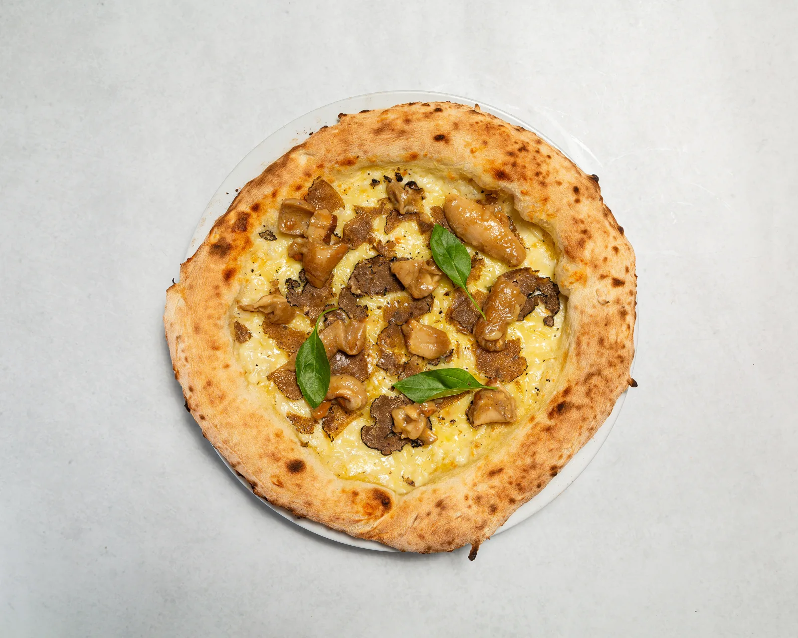 Tartufo & Porcini