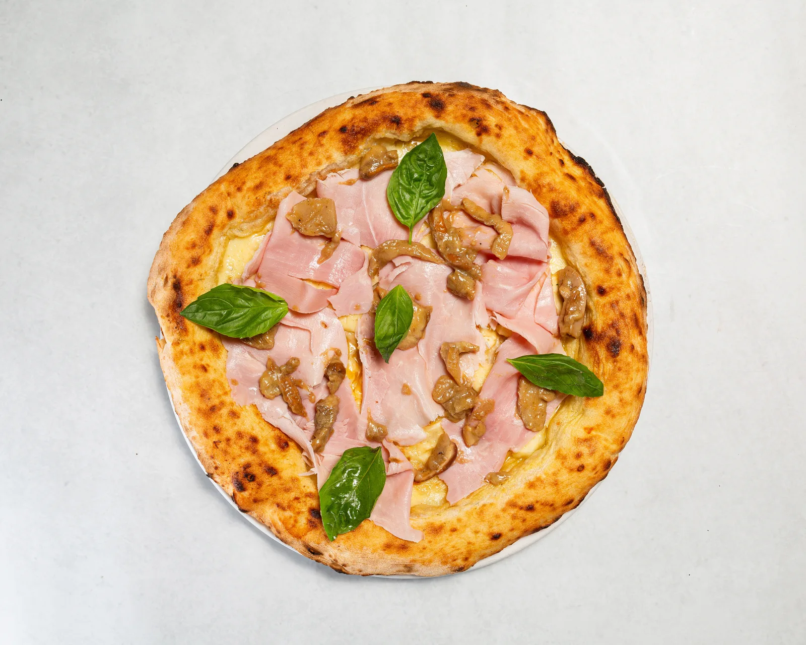 Cotto & Porcini